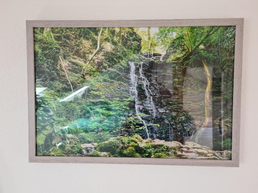 Ferienhaus Finca De Vida Y Luz Auderath Ngoại thất bức ảnh